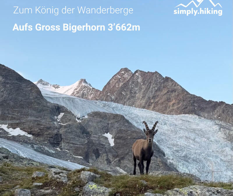 Gross Bigerhorn zum höchsten Wandergipfel mit Reini von simply.hiking und 3000PLUS