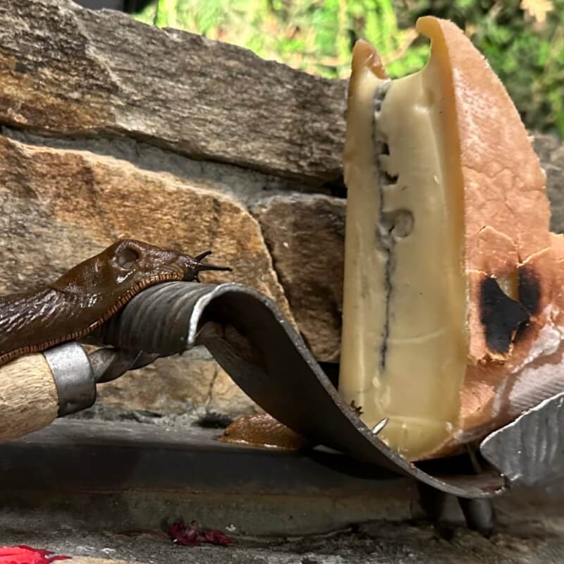 Haute Route Chamonix-Zermatt Walkers Südalpen Mont-Blanc TMB mit Reini von simply.hiking