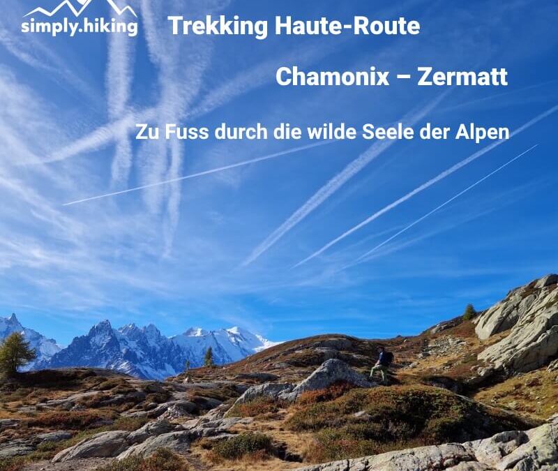 Haute Route Chamonix-Zermatt Walkers Südalpen Mont-Blanc TMB mit Reini von simply.hiking