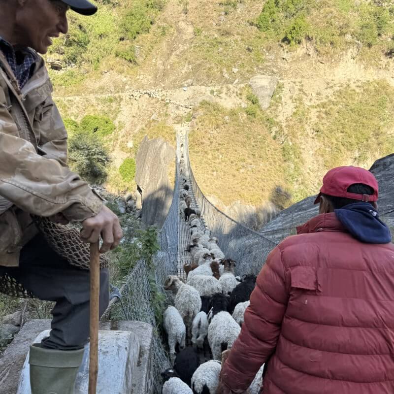 Unterwegs auf Etappe 2 bei Deng während des Manaslu Trekking Nepal 2025