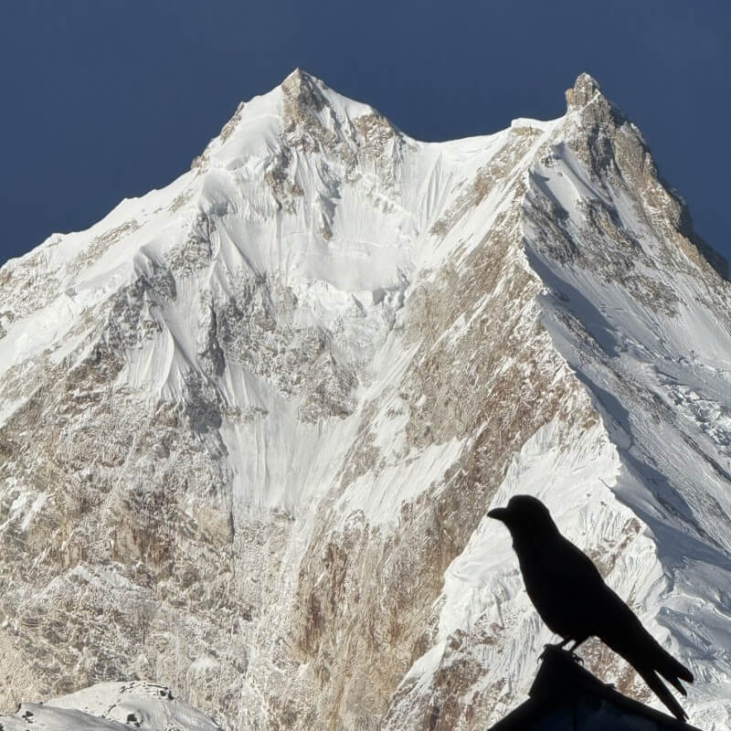 Unterwegs auf Etappe 9 bei Samdo während des Manaslu Trekking Nepal 2025