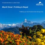 Mardi Himal Frühling in Nepal Rhododendren in voller Blüte Trekking vor der Kulisse der Annapurna mit Reini von simply.hiking