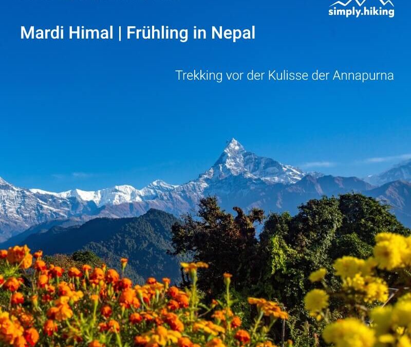 Mardi Himal Frühling in Nepal Rhododendren in voller Blüte Trekking vor der Kulisse der Annapurna mit Reini von simply.hiking