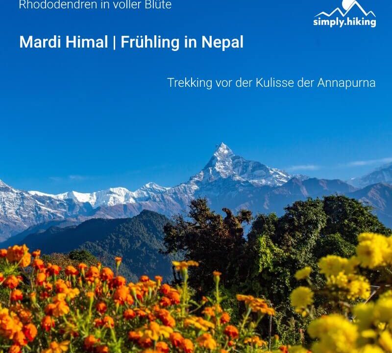 Mardi Himal Frühling in Nepal Rhododendren in voller Blüte Trekking vor der Kulisse der Annapurna mit Reini von simply.hiking