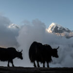 Mardi Himal Frühling in Nepal mit Rainer von simply.hiking